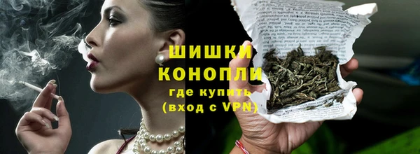 стаф Дмитровск