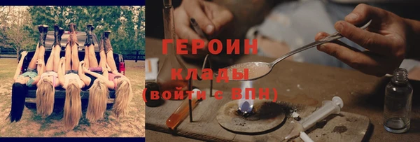 стаф Дмитровск