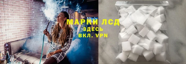 стаф Дмитровск
