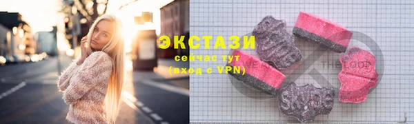 стаф Дмитровск