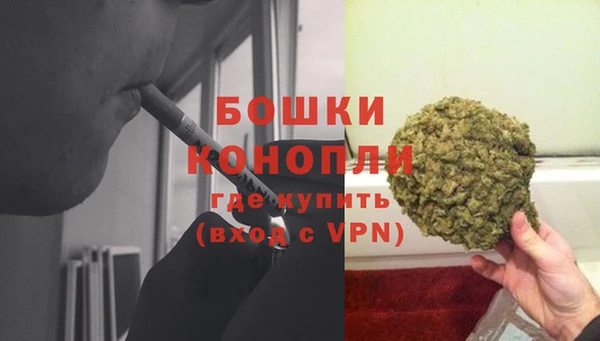 стаф Дмитровск