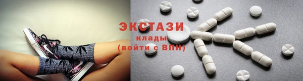 стаф Дмитровск