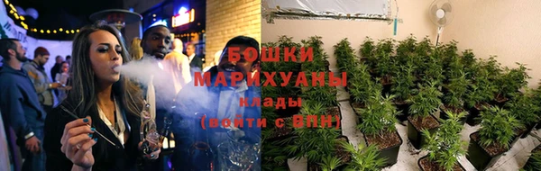 стаф Дмитровск
